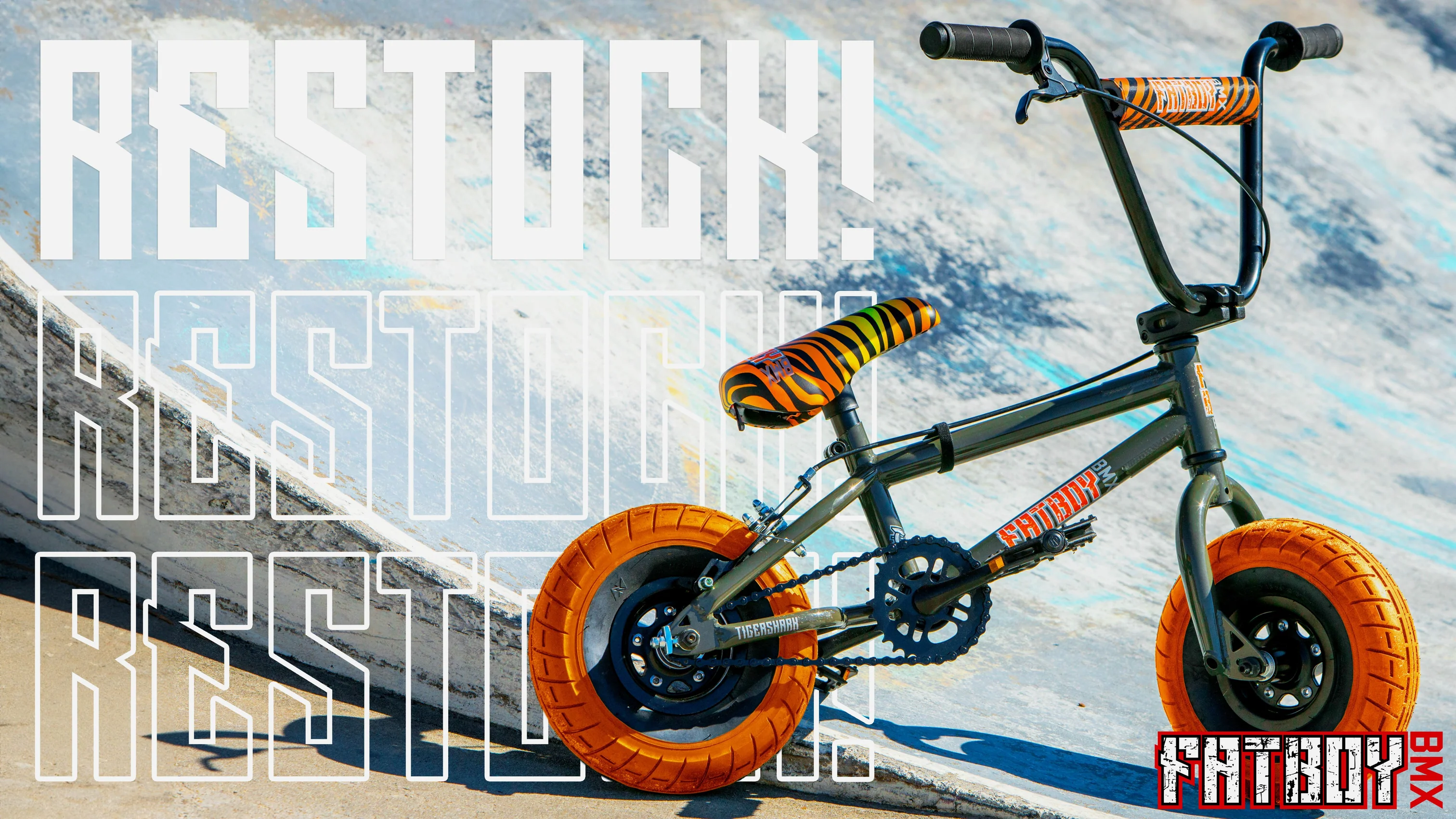 Ride Big on Fatboy Minis